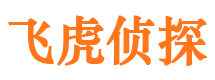 阳山市侦探调查公司